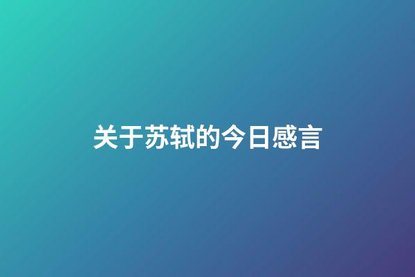 关于苏轼的今日感言