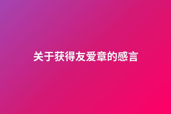 关于获得友爱章的感言