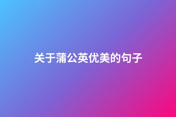 关于蒲公英优美的句子