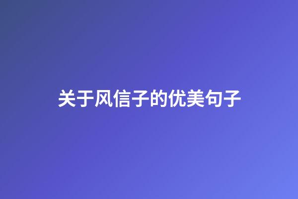 关于风信子的优美句子