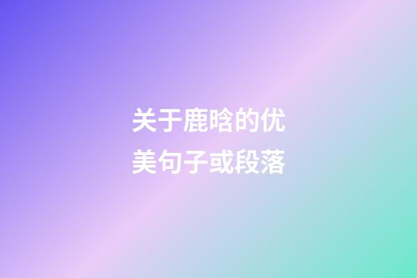 关于鹿晗的优美句子或段落