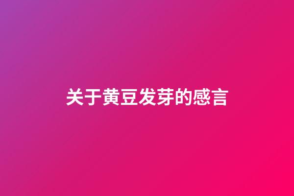 关于黄豆发芽的感言