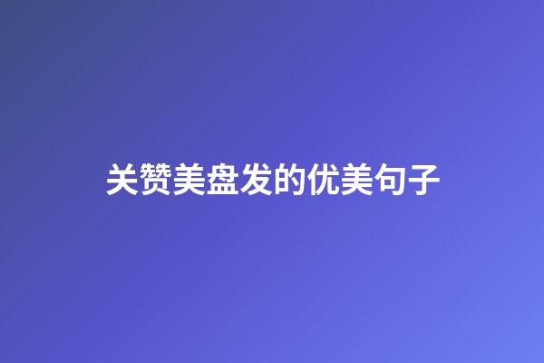 关赞美盘发的优美句子