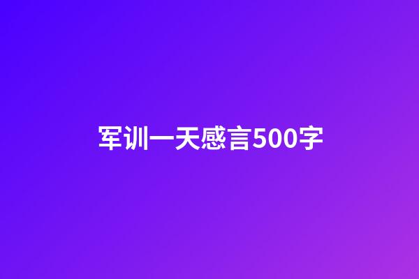 军训一天感言500字