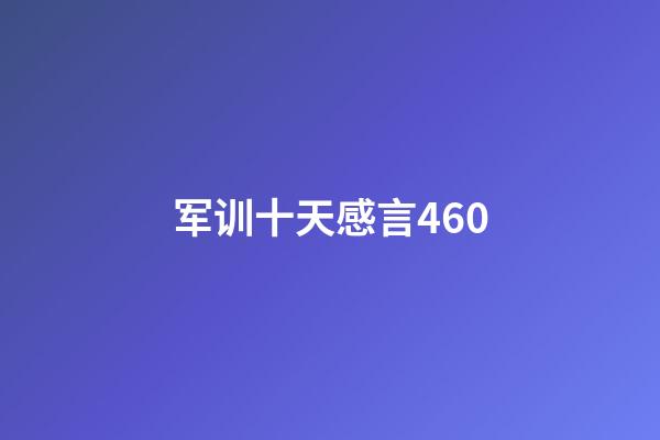 军训十天感言460