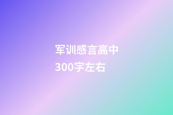 军训感言高中300字左右