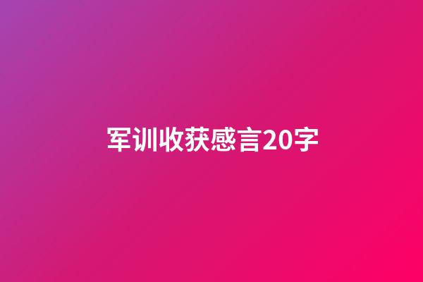 军训收获感言20字