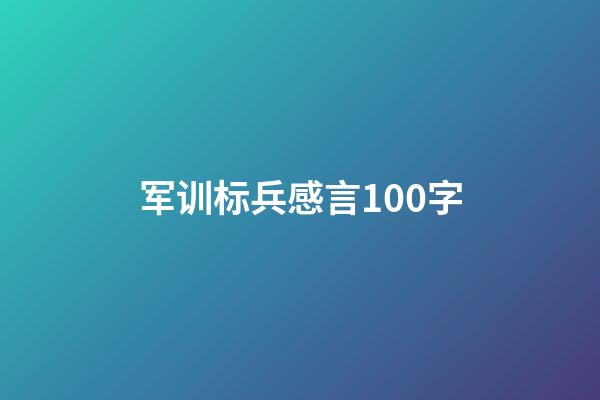 军训标兵感言100字