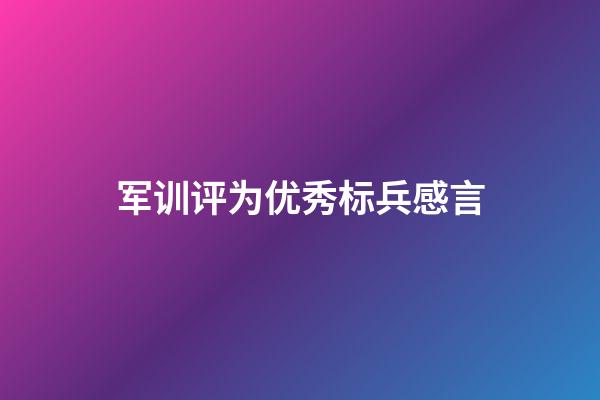 军训评为优秀标兵感言