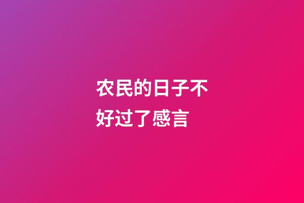 农民的日子不好过了感言