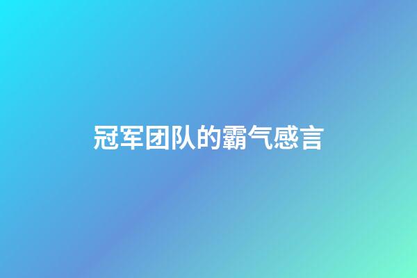 冠军团队的霸气感言