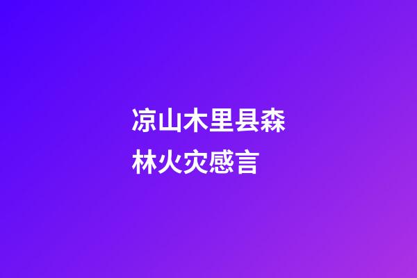 凉山木里县森林火灾感言