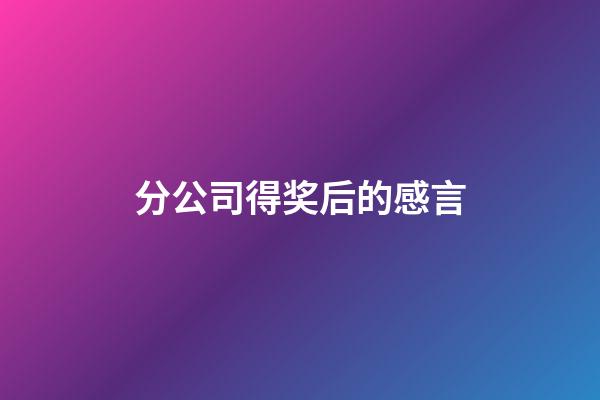 分公司得奖后的感言