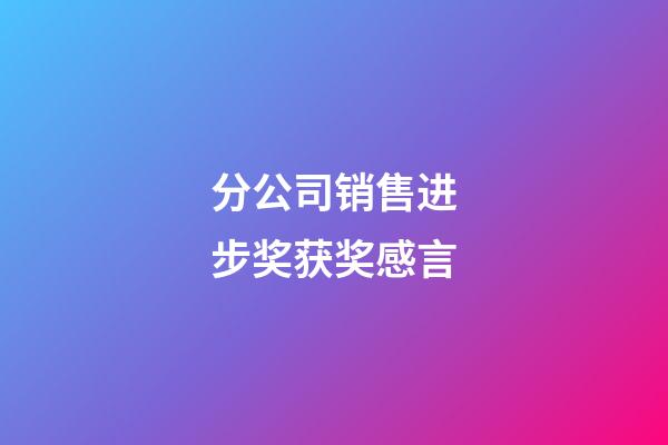 分公司销售进步奖获奖感言