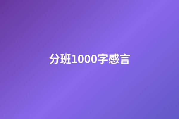 分班1000字感言