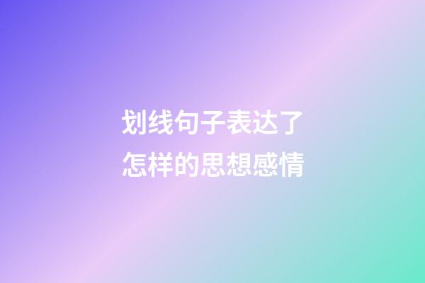 划线句子表达了怎样的思想感情