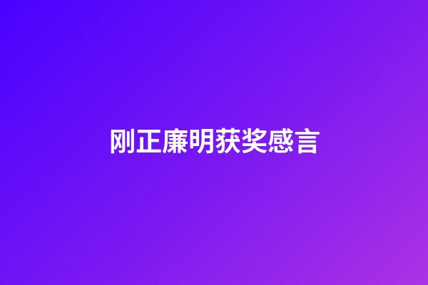 刚正廉明获奖感言