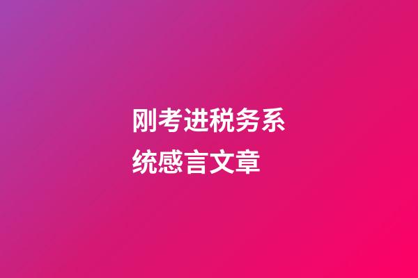 刚考进税务系统感言文章