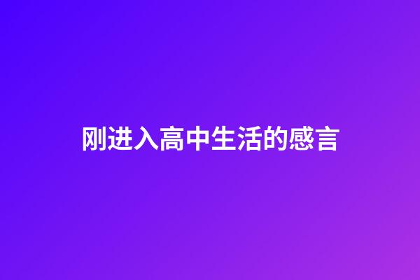 刚进入高中生活的感言