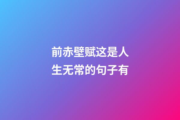 前赤壁赋这是人生无常的句子有