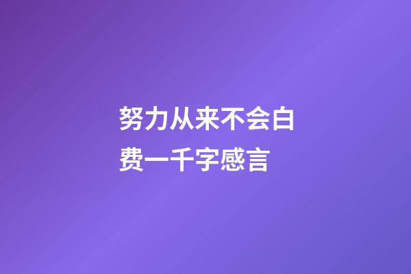 努力从来不会白费一千字感言