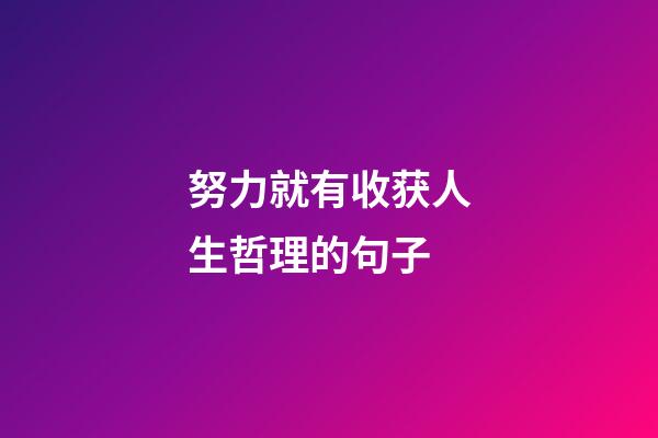 努力就有收获人生哲理的句子