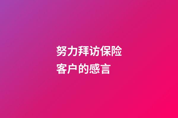 努力拜访保险客户的感言