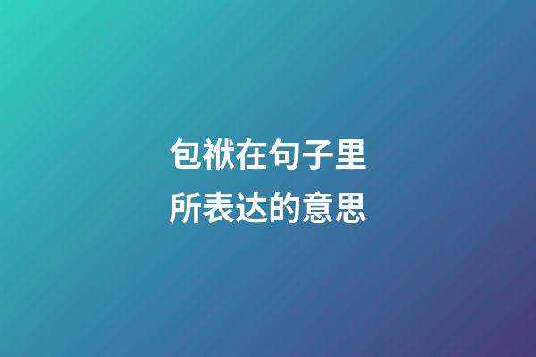 包袱在句子里所表达的意思