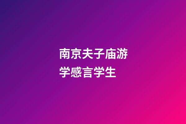 南京夫子庙游学感言学生