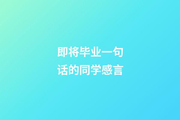 即将毕业一句话的同学感言