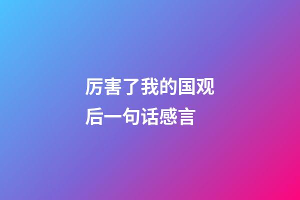 厉害了我的国观后一句话感言