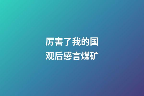 厉害了我的国观后感言煤矿