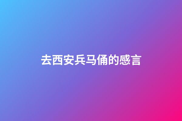 去西安兵马俑的感言