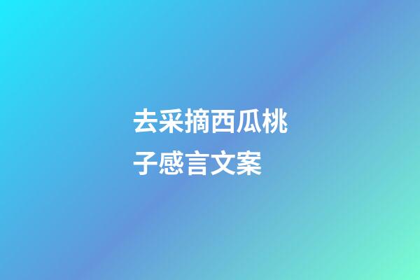 去采摘西瓜桃子感言文案