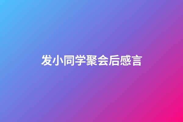 发小同学聚会后感言