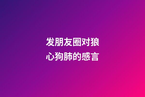 发朋友圈对狼心狗肺的感言