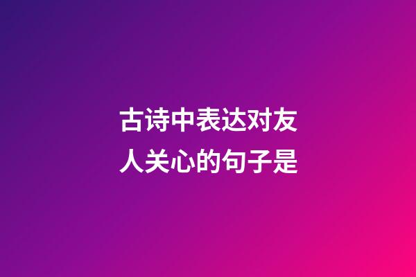 古诗中表达对友人关心的句子是