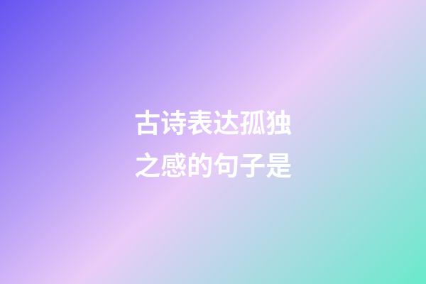 古诗表达孤独之感的句子是