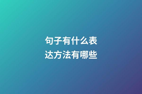 句子有什么表达方法有哪些