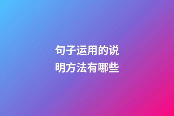 句子运用的说明方法有哪些