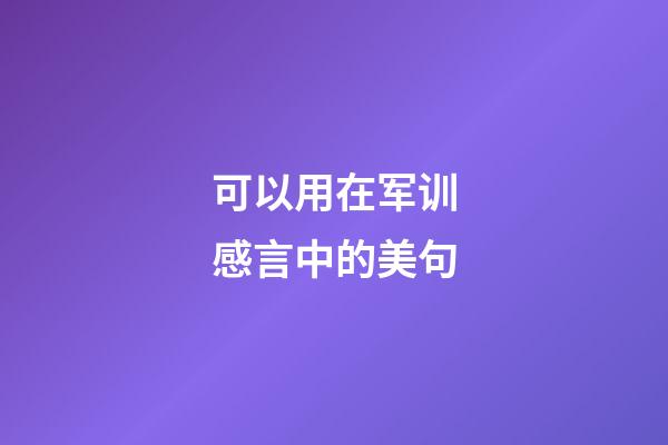 可以用在军训感言中的美句