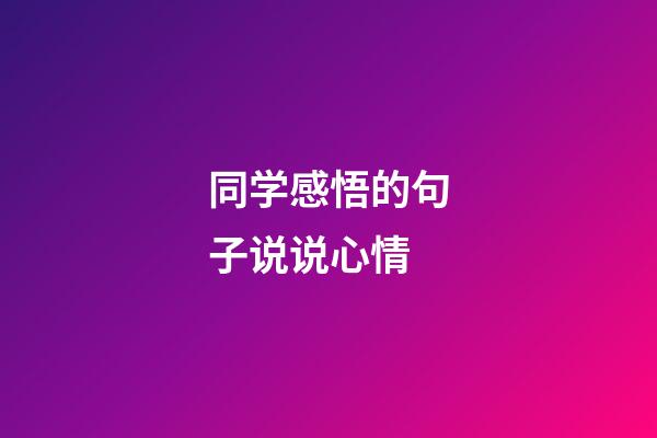 同学感悟的句子说说心情