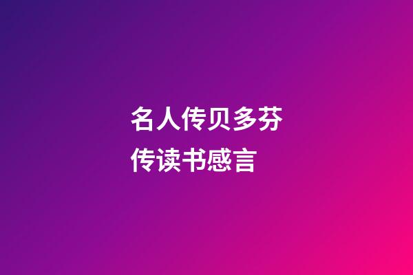 名人传贝多芬传读书感言