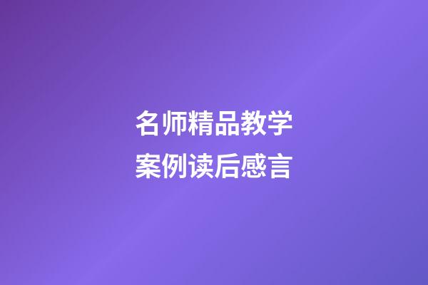 名师精品教学案例读后感言