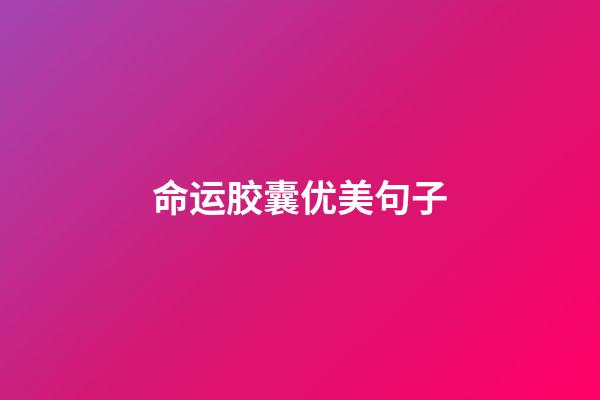 命运胶囊优美句子