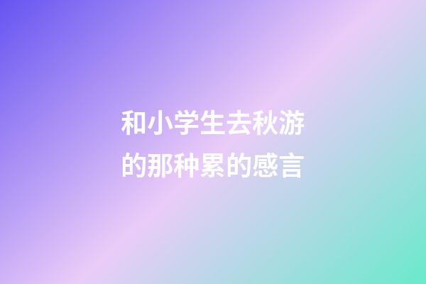 和小学生去秋游的那种累的感言