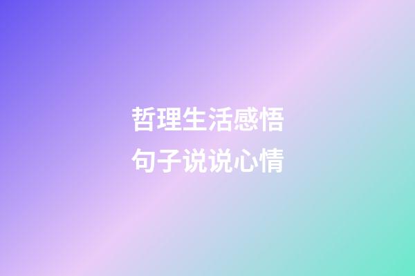 哲理生活感悟句子说说心情