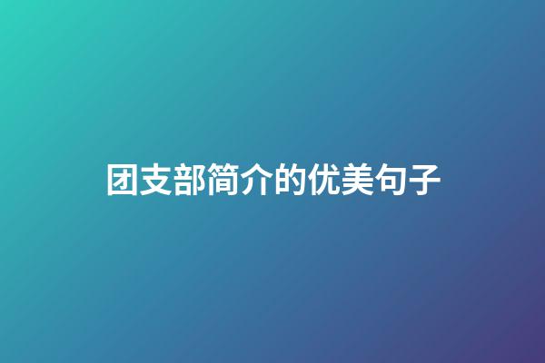 团支部简介的优美句子