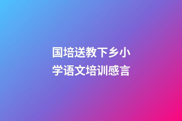 国培送教下乡小学语文培训感言