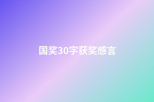 国奖30字获奖感言